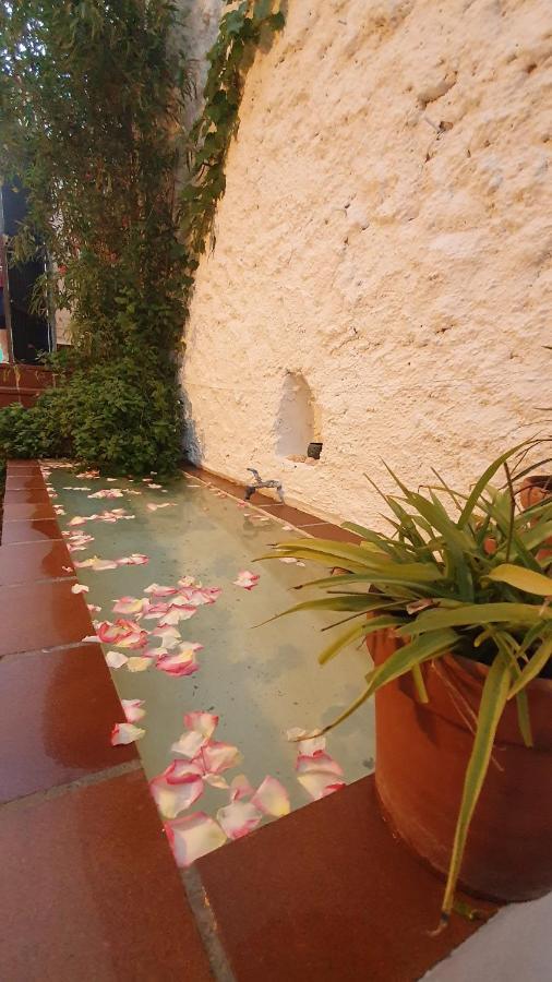 Casa Bambu Lägenhet Granada Exteriör bild